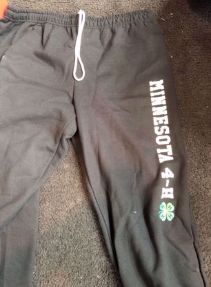 Picture of Charcoal Sweatpants