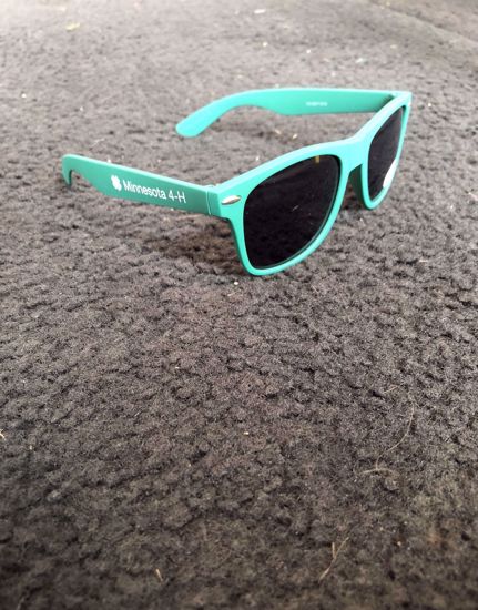 Picture of Classic MN 4-H Sunglasses