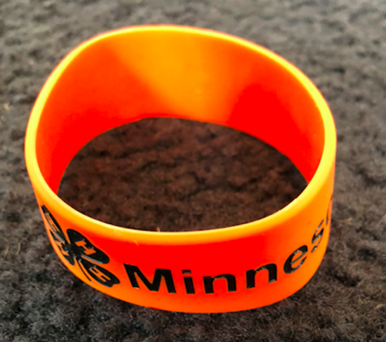 Picture of MN 4-H Wristband