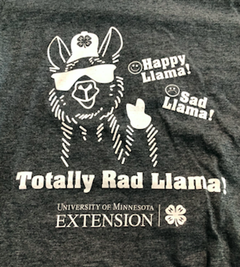 Picture of Llama T-Shirt