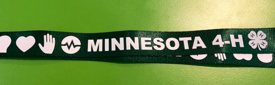 Picture of Lanyard