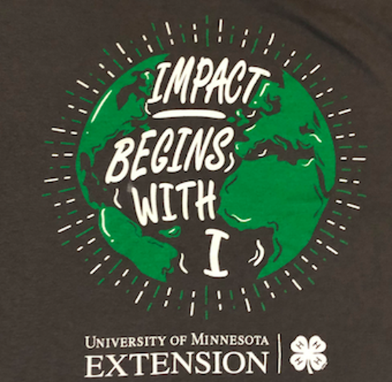 Picture of Impact Begins T-Shirt