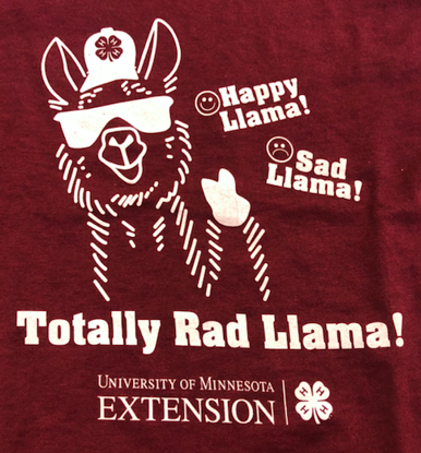 Picture of Youth T-Shirt: Llama